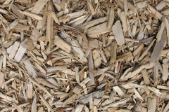 biomass boilers Moorstock